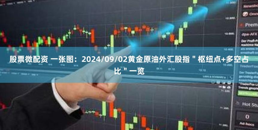 股票微配资 一张图：2024/09/02黄金原油外汇股指＂枢纽点+多空占比＂一览